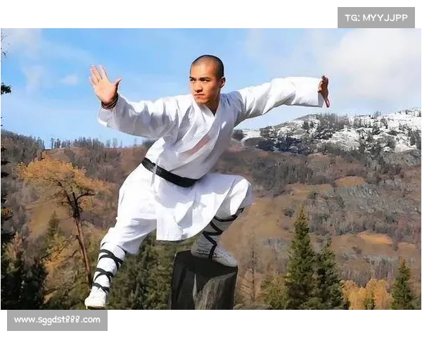 学武术提升身心素质探索传统文化精髓与现代健身方法相结合的独特魅力 学武术提升身心素质探索传统文化精髓与现代健身方法相结合的独特魅力